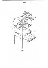 Устройство для подачи корнеплодови овощей b овощерезательнуюмашину (патент 850036)