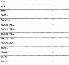 Способ выявления возбудителей нозокомиальных оппортунистических инфекций и маркеров их резистентности к бета-лактамным антибиотикам и гликопептидам у женщин репродуктивного возраста и новорожденных детей для оптимизации антибактериальной терапии (патент 2629322)