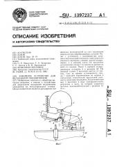 Зажимное устройство для вкладышей подшипников (патент 1397237)