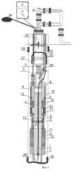 Гидравлический многоразовый пакер гарипова, установка и способ для его реализации (патент 2425955)