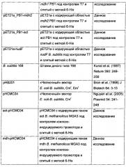 Новые ферменты метанолдегидрогеназы из bacillus (патент 2624017)