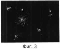 Способ определения фрагментации днк в бактериях (патент 2420596)