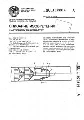 Устройство для очистки труб (патент 1079314)