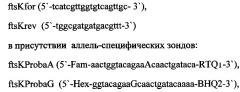 Способ дифференциации штаммов yersinia pestis на основной и неосновные подвиды методом пцр в режиме реального времени (патент 2642273)