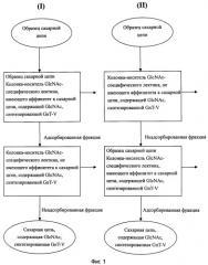 Способ обнаружения сахарных цепей с glcnac, синтезированных gnt-v (патент 2442989)