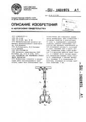 Устройство для открывания крышек люков полувагона (патент 1431975)