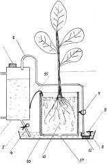 Устройство для автоматического полива растений (патент 2624951)