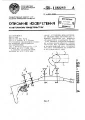 Устройство для сортировки мелкой рыбы по качеству (патент 1122289)