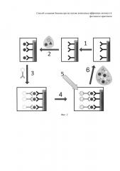Способ создания регенерируемого биосенсора на основе комплекса фотонного кристалла с аффинными молекулами (патент 2618606)