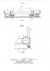 Устройство для обслуживания стеллажей (патент 1024394)