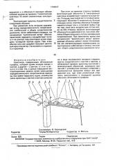 Краспица (патент 1796537)