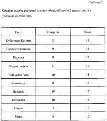 Способ клонального микроразмножения алычи in vitro (патент 2652953)