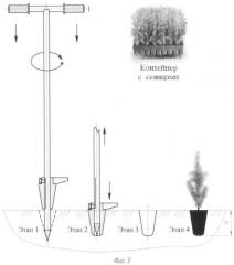 Устройство для посадки сеянцев, выращенных в контейнерах (патент 2384038)
