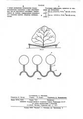 Улавливатель плодов (патент 524545)