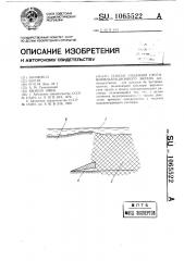 Способ создания противофильтрационного экрана (патент 1065522)