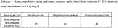 Штамм микромицета penicillium vulpinum f-1523, обладающий антибактериальной активностью в отношении возбудителя сибирской язвы bacillus anthracis (патент 2612150)