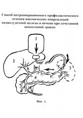 Способ интраоперационного профилактического лечения ишемических повреждений поджелудочной железы и печени при сочетанной шокогенной травме (патент 2620496)