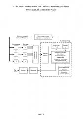 Способ коррекции биомеханических параметров командной техники гребли (патент 2630436)