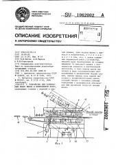 Устройство для склеивания полос шпона в непрерывную ленту (патент 1062002)