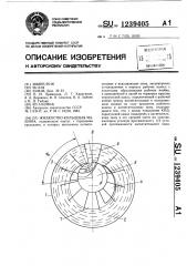 Жидкостно-кольцевая машина (патент 1239405)