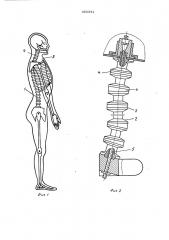 Модель тела человека (патент 452341)