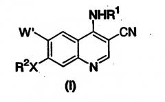 Способ получения 7-замещенного-3-хинолин и 3-хинол-4-он карбонитрилов (патент 2309149)