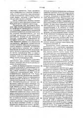 Способ идентификации штаммов гомобазидиальных грибов (патент 1771485)