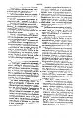 Устройство для отделения листьев лука-севка (патент 1681828)