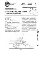 Устройство для внесения минеральных удобрений (патент 1123569)