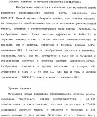Scfv против egfrviii с улучшенной цитотоксичностью и выходом, иммунотоксины на их основе и способы их применения (патент 2317999)