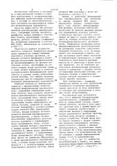 Цифровой функциональный преобразователь (патент 1104492)