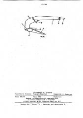 Однолапый якорь (патент 1074395)