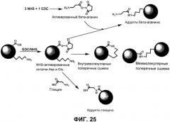 Композиции, относящиеся к мутантному токсину clostridium difficile, и способы их применения (патент 2592686)