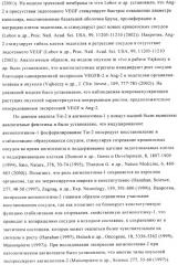 Стабилизированные антитела против ангиопоэтина-2 и их применение (патент 2509085)