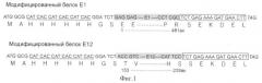 Рекомбинантный вирусный вектор для продукции в растениях белка е1 вируса краснухи (варианты) и система экспрессии белка е1 вируса краснухи в клетках растения (варианты) (патент 2390563)