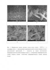 Способ выращивания пленки нитрида галлия (патент 2578870)