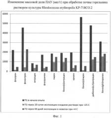 Штамм rhodococcus erythropolis для очистки воды, почвы, береговой зоны водных объектов и донных отложений от нефти и нефтепродуктов (патент 2553337)