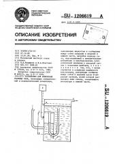 Устройство для измерения расхода газа (патент 1206619)