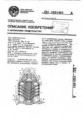 Устройство для разделения газовых смесей (патент 1031481)