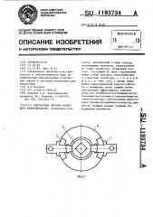 Контактная система пакетного переключателя (патент 1193734)