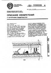 Способ возведения крепи горных выработок (патент 1030559)