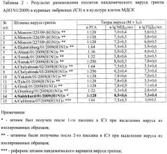 Штамм а/salekhard/01/2009(h1n1)v вируса гриппа а субтипа h1n1 для исследования лечебной и профилактической эффективности препаратов против вируса гриппа (патент 2457242)