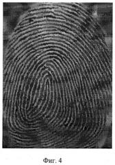 Устройство для снятия отпечатков пальцев (сканер) (патент 2364935)