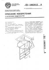 Сканирующее устройство (патент 1065812)