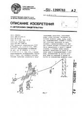 Спасательное устройство (патент 1269783)