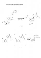 Способ получения n2-метилдезоксигуанозина (патент 2637503)