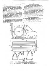 Устройство для развития мышечной системы животных (патент 733581)