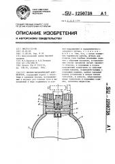 Пневмогидравлический аккумулятор (патент 1250738)