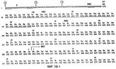 Вариант субтилизина bacillus (варианты), кодирующая его днк, экспрессирующий вектор и очищающая композиция (патент 2252254)