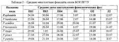 Способ прогноза перспективности сосновых в условиях культуры ex situ (патент 2552955)